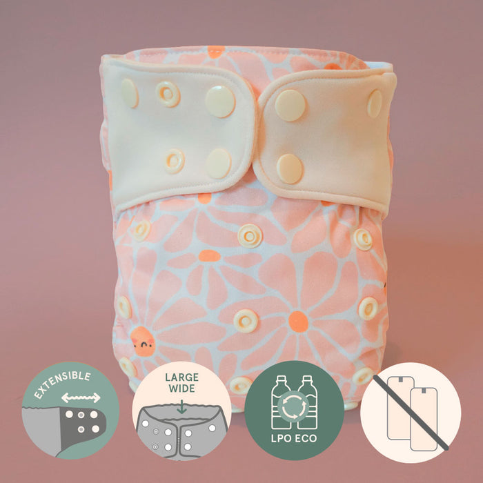 Couche à poche | Évolution