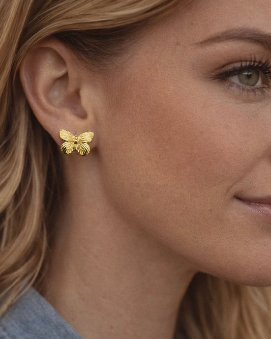 18k Gold Butterfly Studs