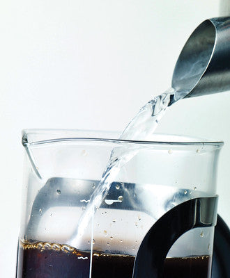 Aerolatte 5 Cup French Press