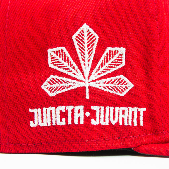 Cincinnati Reds City Connect Fitted Cap (Red/White)