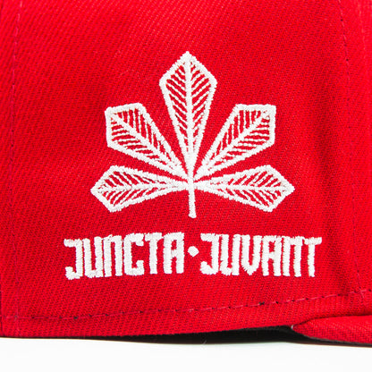 Cincinnati Reds City Connect Fitted Cap (Red/White)