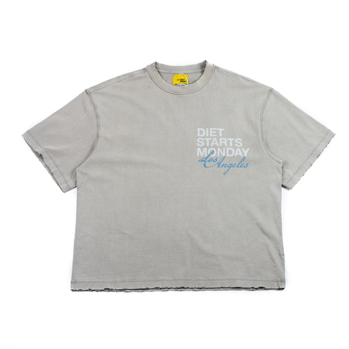DSMLA Tee (Washed Grey)