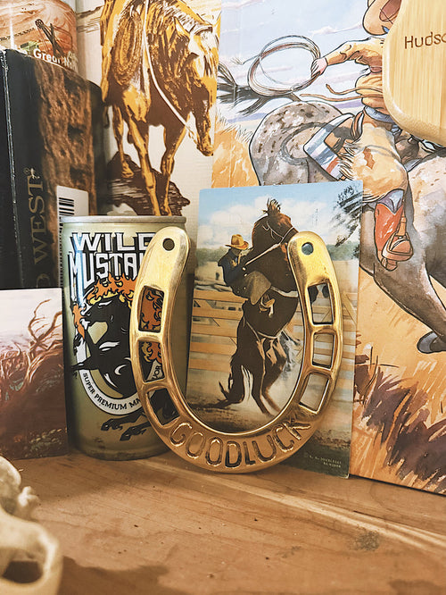 Good Luck Horseshoe Wall Hanging