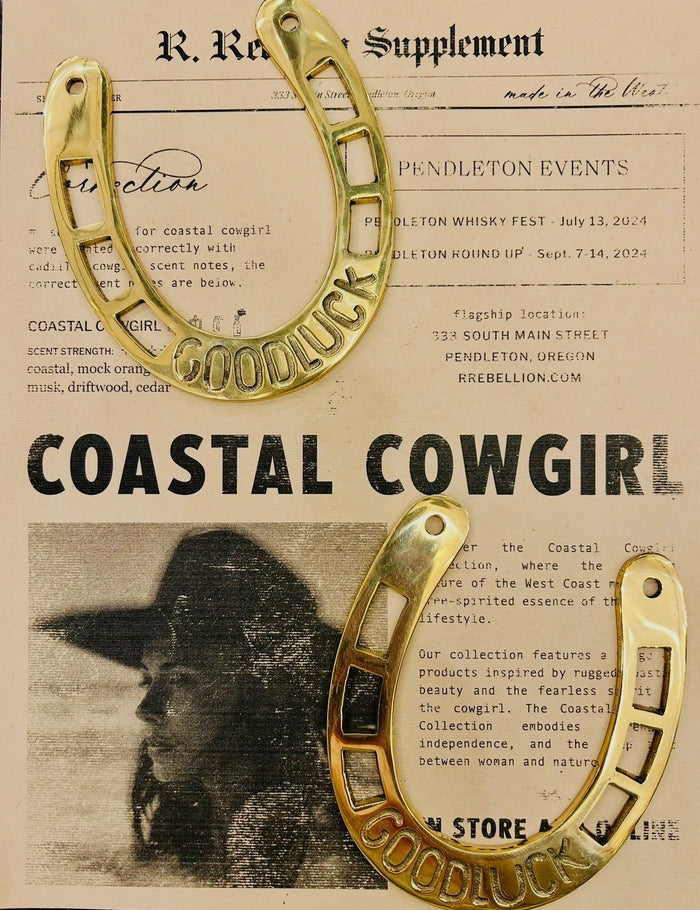 Good Luck Horseshoe Wall Hanging