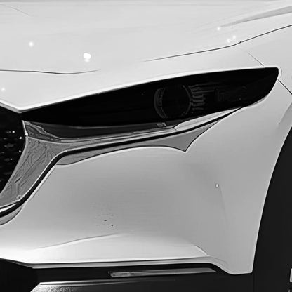 Front Tint Kit (DARK)
