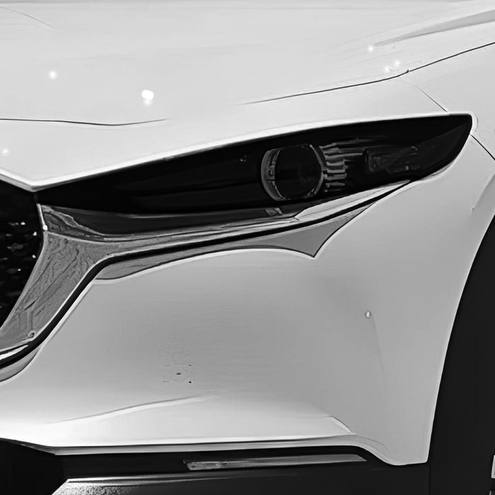 Front Tint Kit (LIGHT)