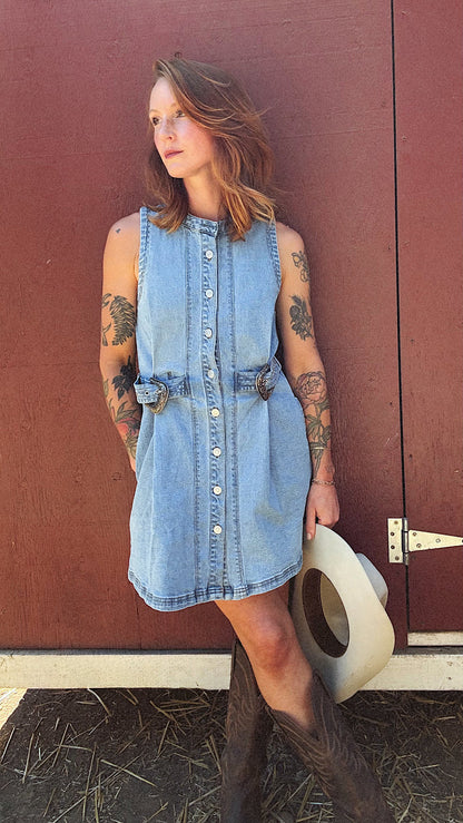 Silver Springs Denim Button Up Dress
